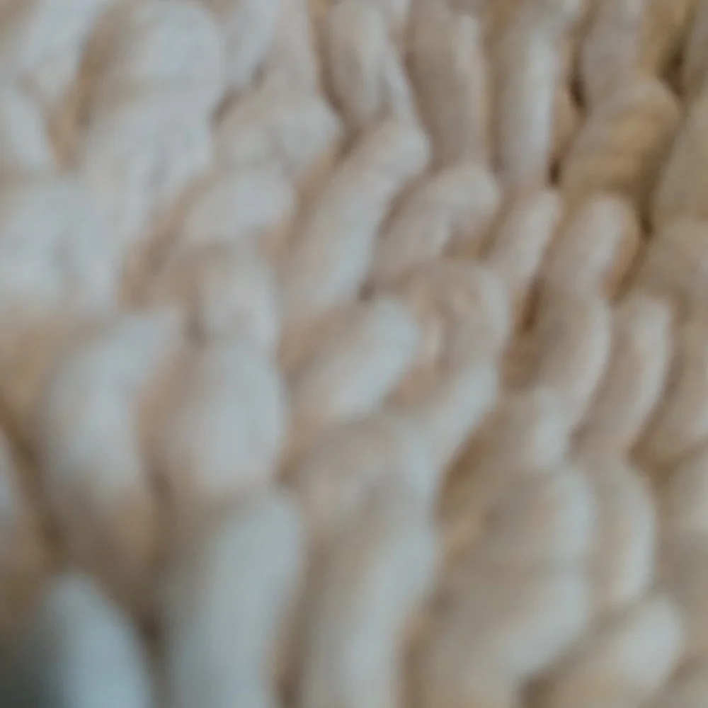 Reversible Rug
